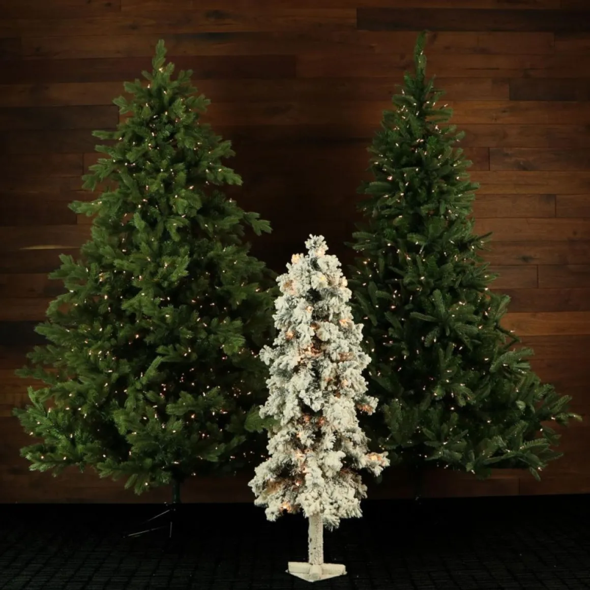 Set Of Snowy Alpine Trees With Clear Lights